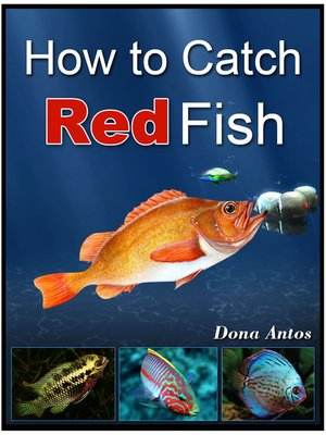 cover image of How To Catch Redfish